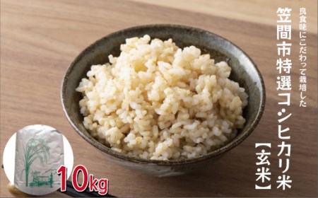 【令和５年度米】 笠間市特選コシヒカリ米（玄米）　10kg