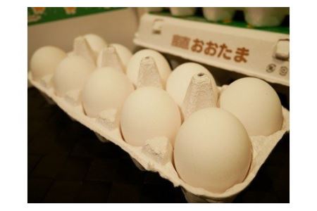  田中鶏卵の産みたて卵（60個）