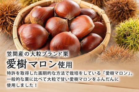 大粒栗のほくほく カレー 3箱 栗