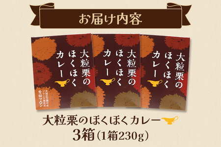 大粒栗のほくほく カレー 3箱 栗