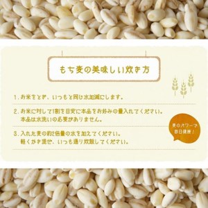 【6ヶ月定期便】令和３年度米コシヒカリともち麦セット