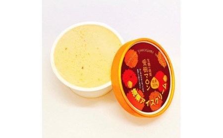 焼栗 アイス クリーム ＆ ジェラート セット AQ-001