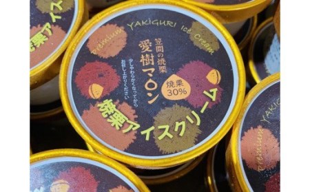 焼栗 アイス クリーム ＆ ジェラート セット AQ-001