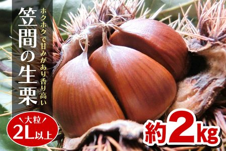 先行予約】【日本一】笠間の生栗（約2kg）低温熟成 利平 2L以上 AH-006 | 茨城県笠間市 | ふるさと納税サイト「ふるなび」