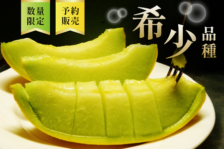 【先行予約/5月下旬から発送】カエるノ実有機農園 優香メロン 2玉 (2.0～2.5kg) 数量限定 EJ-001