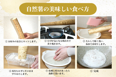 笠間自然薯研究会の 自然薯 カット ご家庭用 約800g