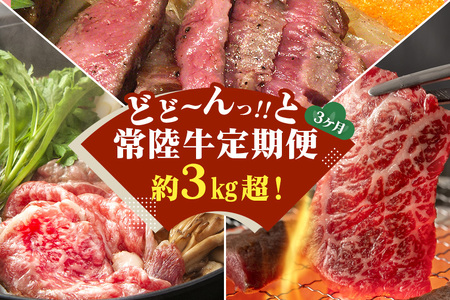 3ヵ月定期便 常陸牛どどーんっ！と定期便 総重量約３kg超え【茨城県共通返礼品】 GX-016