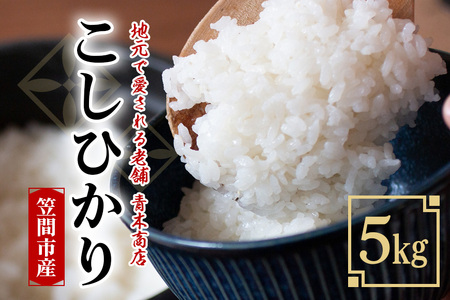 BW-16 令和4年度米 笠間産 コシヒカリ 5kg