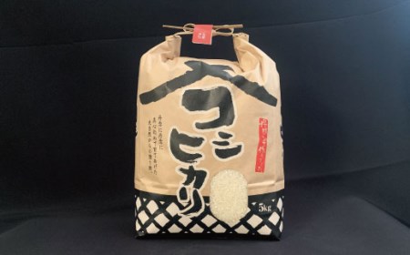 令和５年度米 笠間産 コシヒカリ 5kg | 茨城県笠間市 | ふるさと納税