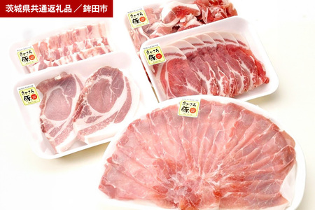 FG-1 まごころ豚 お楽しみセット(茨城県共通返礼品・鉾田市産)
