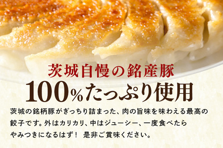 彩美亭 かさま 餃子 常陸の輝き50個入り HV-005