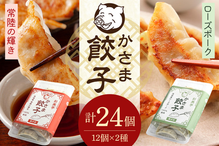 彩美亭 かさま 餃子 常陸の輝き・ローズポークセット HV-004