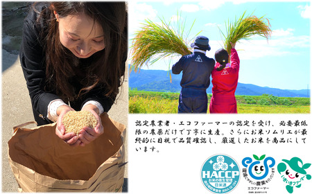 農家直送！出荷日精米／茨城県ミルキークイーンしづくのしずく