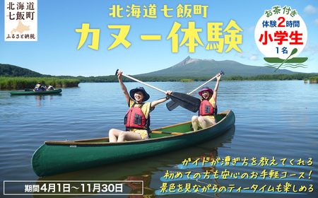 カヌー体験2時間(お茶付き)小学生 【 ふるさと納税 人気 おすすめ ランキング カヌー体験 カヌー かぬー 非日常 大沼 北海道 七飯町 送料無料 】 NABB002
