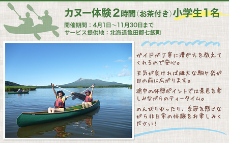 カヌー体験2時間(お茶付き)小学生 【 ふるさと納税 人気 おすすめ ランキング カヌー体験 カヌー かぬー 非日常 大沼 北海道 七飯町 送料無料 】 NABB002
