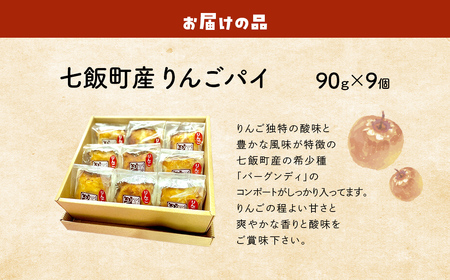 七飯町産りんごパイ詰合せ（9個） NABG002