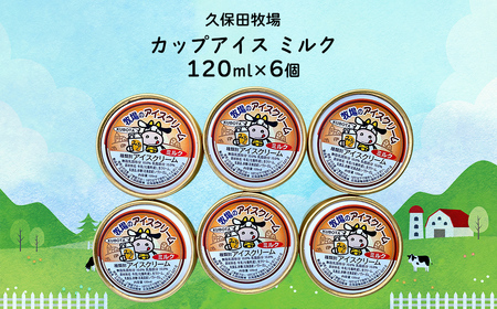 カップアイス ミルク 120ml×6個 NAP006