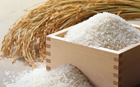 【令和7年産】ゆめぴりか 10kg 小田切清志農園（2025年10月下旬より発送） NABJ002