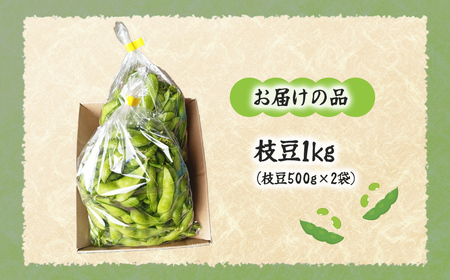 【先行予約】【2026年8月中旬より順次発送】枝豆1kg NAZ020