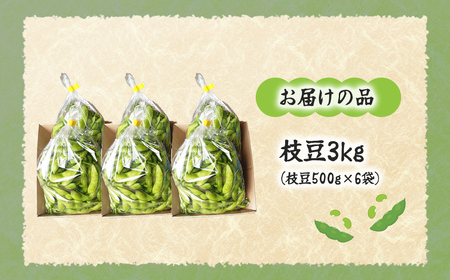 【先行予約】【2026年8月中旬より順次発送】枝豆3kg NAZ022
