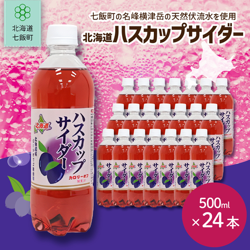 ハスカップサイダー24本（500mlペットボトル） NAQ009