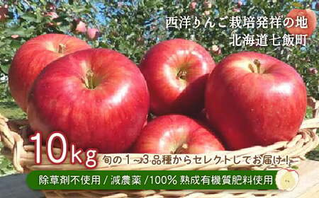 【先行予約】北海道七飯町産 りんご 10kg 有機質肥料使用 NAR003