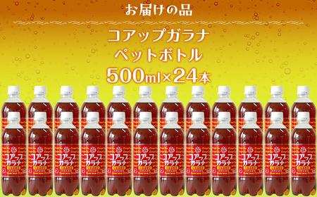 コアップガラナ24本セット（500mlペットボトル） NAQ003