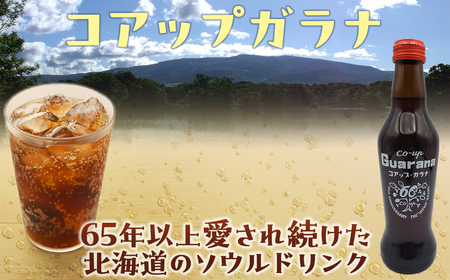 コアップガラナ24本セット(230ml瓶) NAQ004