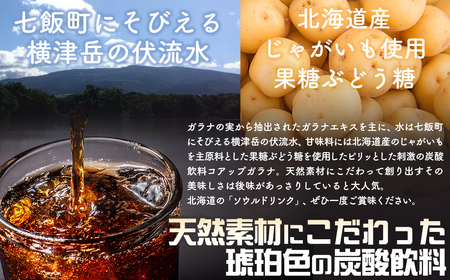 コアップガラナ24本セット(230ml瓶) NAQ004