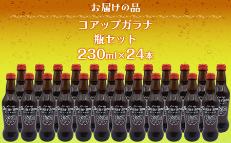 コアップガラナ24本セット(230ml瓶) NAQ004