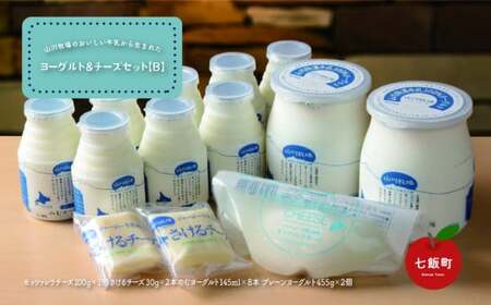 山川牧場こだわりの濃厚ヨーグルト&チーズセット（B） 【 ふるさと納税 人気 おすすめ ランキング 山川牧場 ヨーグルト チーズ こだわり セット 北海道 七飯町 送料無料 】 NAN005