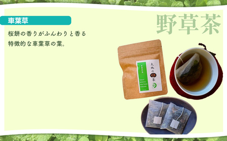 こだわりハーブティー 野草茶と野草袋 人気商品詰め合わせセット NAAC002