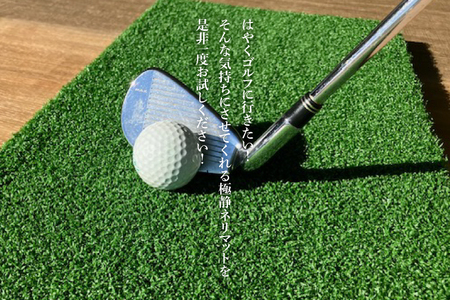 AG002 極静ネリマット・スタンスマット付(ゴルフ練習マット)