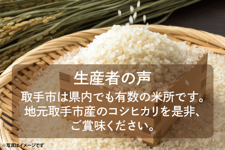 【11月中旬より順次発送】【令和6年度産】取手市産 コシヒカリ 15kg | 米 精米 白米 こしひかり JA 茨城県 取手市 （AR002）