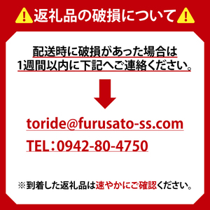 【最短翌日出荷】【期間限定】【キリン】一番搾り生ビール缶350ml缶×24本<キリンビール取手工場産> | KIRIN 麒麟 酒 お酒 ビール 麦酒 350 ケース 箱 人気 おすすめ 茨城 取手（ZA001-H）