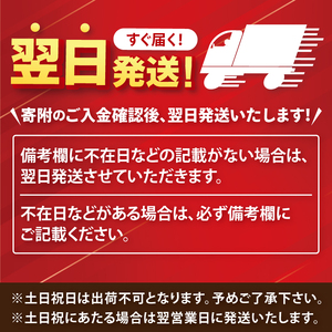 キリン 一番搾り 糖質ゼロ 500ml×24本 【最短翌日発送】|一番搾り ビール スピード 茨城県 取手市(ZC004)