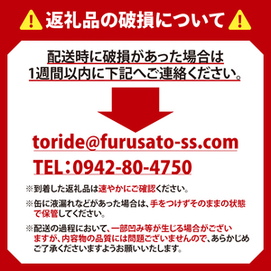 キリン 一番搾り 糖質ゼロ 500ml×24本 【最短翌日発送】|一番搾り ビール スピード 茨城県 取手市(ZC004)
