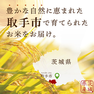 【数量限定】R7年産取手市産コシヒカリ 精米5kg|お米 米 こしひかり コシヒカリ 白米 茨城県 取手市（BS001）