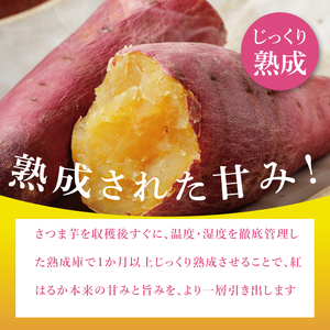 「りん太郎本舗」熟成芋の干し芋 丸干し150g×3袋セット｜干し芋 ほしいも さつまいも 熟成 べにはるか 紅はるか お菓子　おやつ　スイーツ 茨城県 取手市（BV002）