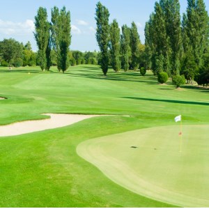 利根パークゴルフ場 平日4名様プレー券(乗用カートセルフ・ランチ付)【1035571】 | 茨城県取手市 | ふるさと納税サイト「ふるなび」