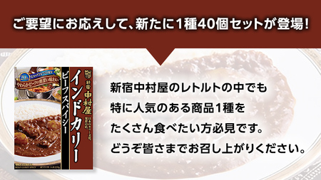 新宿 中村屋 インドカリー ビーフスパイシー 40個 人気 洋食 レトルト 時短 カレー インドカレー スパイシーカレー 長期保存 災害用 保存食