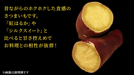 さつまいも【 紅あずま 】 5kg ( 箱込 )