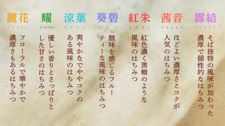 【 数量限定 】田舎はちみつ スティック 7種 セット [ ハニースティック ST7 ]（ 茨城県共通返礼品： 五霞町 ）