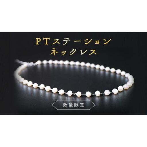 【 数量限定 】PT ステーション ネックレス