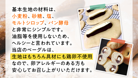 ベーグル 専門店 8個 おすすめ セット 定期便 パン 詰め合わせ 詰合せ 食べ比べ bagel 冷凍 食感 しっとり もっちり おしゃれ まとめ買い お取り寄せグルメ 頒布会 【 全3回 隔月定期便】《 種類おまかせ 》