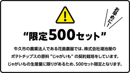 【12/21入金確認分まで年内お届け】湖池屋 ポテトチップス 2種類アソート （のり塩・ガーリック）（各12袋・計24袋）