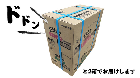 【12/21入金確認分まで年内お届け】湖池屋 ポテトチップス 2種類アソート （のり塩・ガーリック）（各12袋・計24袋）