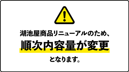 【12/21入金確認分まで年内お届け】湖池屋 ポテトチップス 2種類アソート （のり塩・ガーリック）（各12袋・計24袋）
