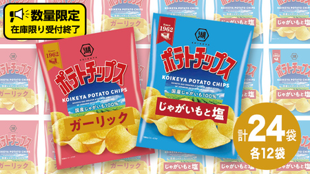 湖池屋 ポテトチップス 2種類アソート （じゃがいもと塩・ガーリック）（各12袋・計24袋） ポテチ お菓子 おかし 大量 スナック おつまみ ジャガイモ じゃがいも まとめ買い スナック菓子 数量限定