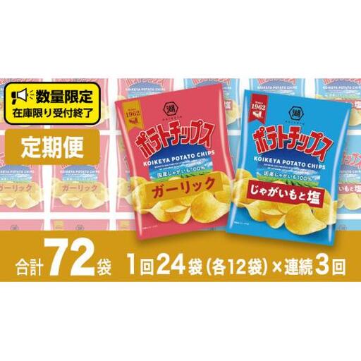 【 湖池屋 3ヶ月 定期便 】湖池屋 ポテトチップス 2種類アソート (じゃがいもと塩・ガーリック)(各12袋・計24袋 ×3回)
